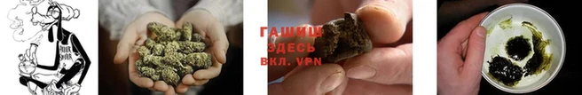 гидра Балахна