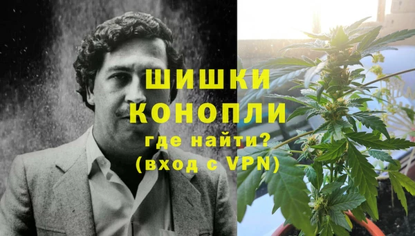 гидра Балахна