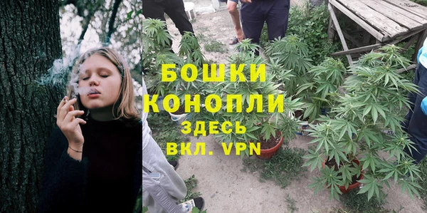 гидра Балахна