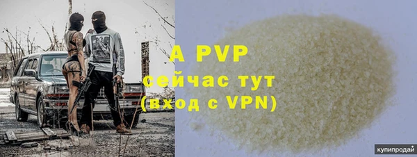 дживик Баксан