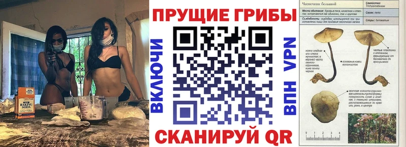 гидра ссылки  Тотьма  Псилоцибиновые грибы прущие грибы  где можно купить наркотик 